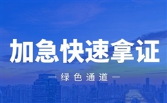 新公司经营范围应该怎么写？