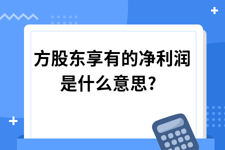 外方股东享有的净利润是什么意思?
