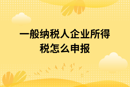 ​一般纳税人企业所得税怎么申报