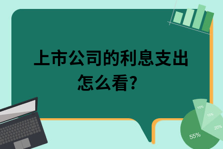 上市公司的利息支出怎么看? 上市公司的利息支出怎么看?