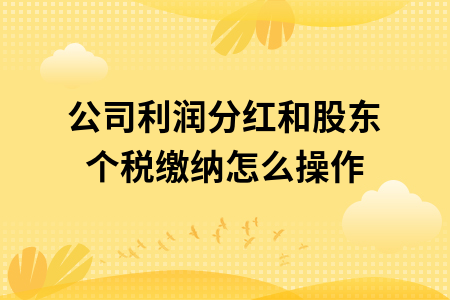 公司利润分红和股东个税缴纳怎么操作